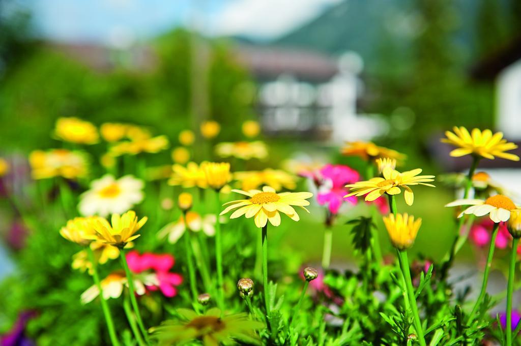 Parkhotel Wallgau 4 Sterne Superior Alpenjuwel Mit Spa Genuss, Golf & Wellness In Der Karwendel-Region Tradition Trifft Eleganz Im Stilvollen Rueckzugsort ภายนอก รูปภาพ